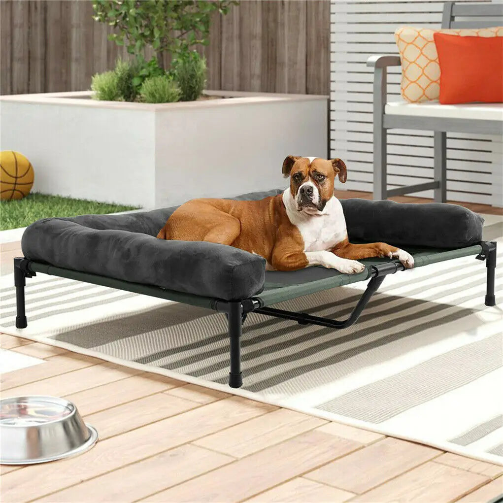 Bingopaw Breathable Elevated Dog Bed Cooling Raised Metal Frame Cot