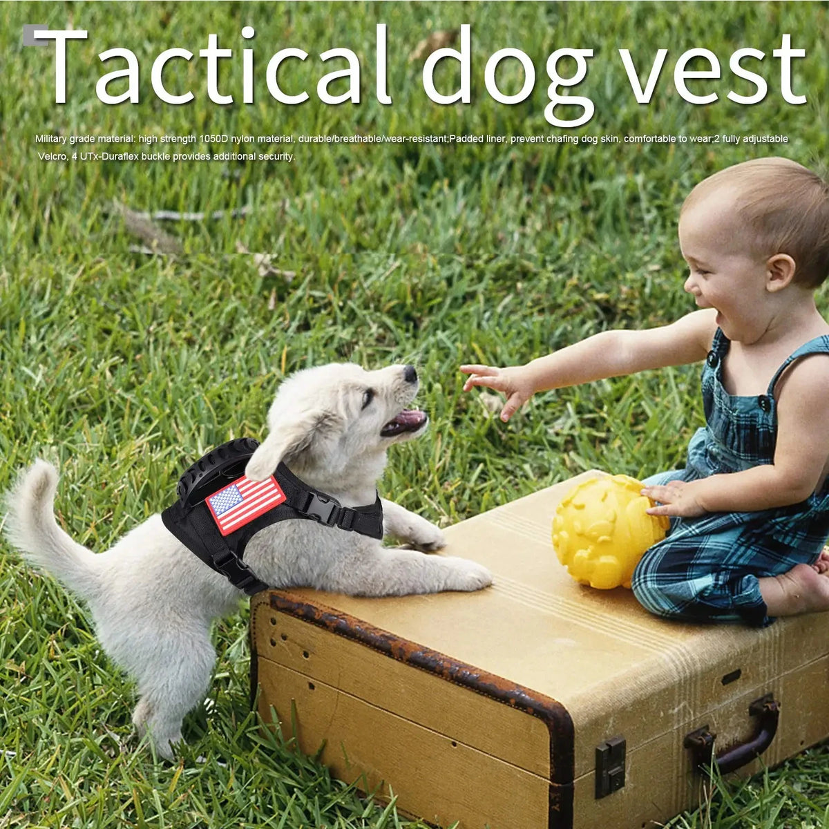 Petravel Tactical Puppy Harness And Leash Set For Dogs