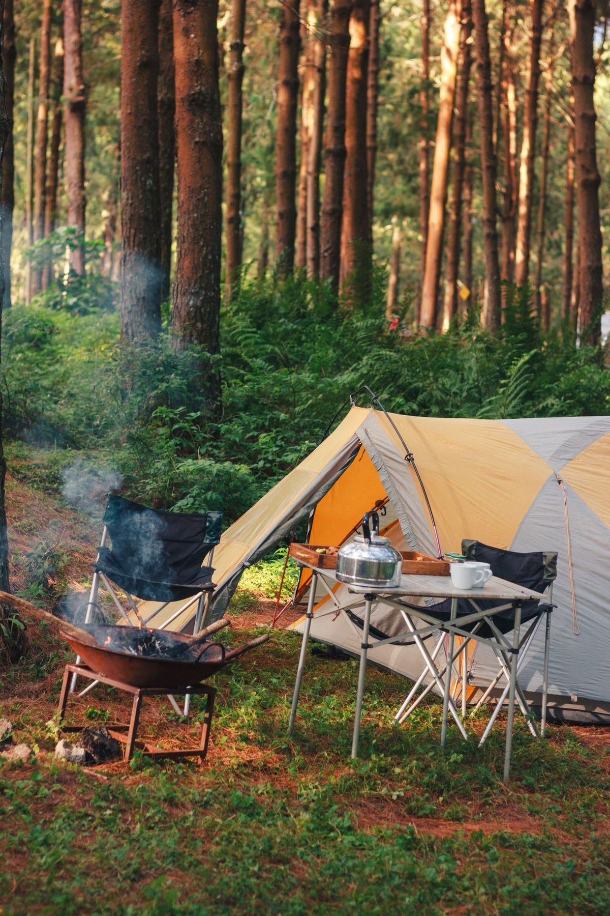 Camping & Outdoors