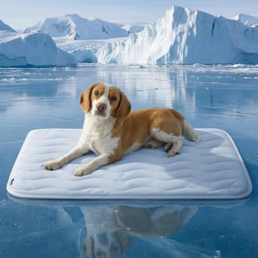 Bedsure Cooling Dog Mat Washable Breathable Cool Pet Bed