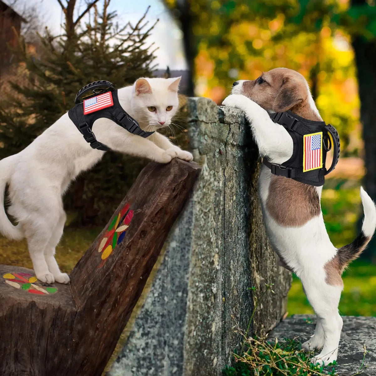 Petravel Tactical Puppy Harness And Leash Set For Dogs