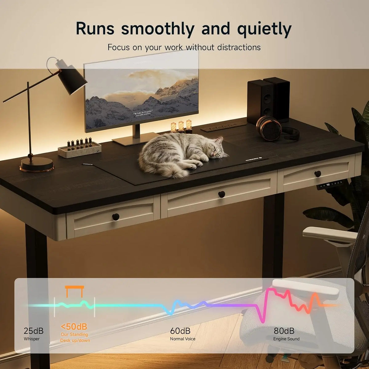 Onbrill Electric Height Adjustable Standing Desk With Drawers