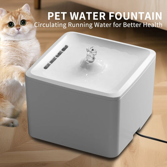 Square Removable Pet Water Feeder With Silent Filtration