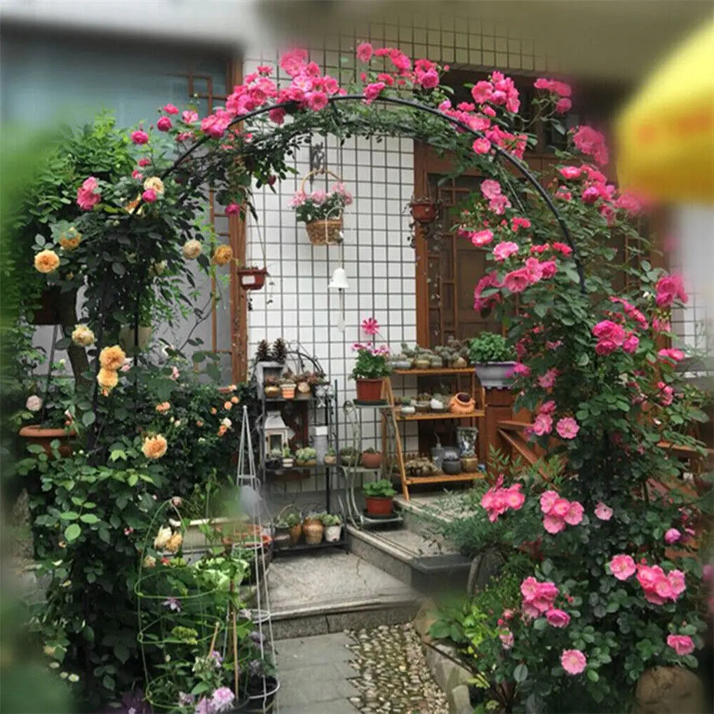 Wisfor Metal Garden Arch Trellis For Climbing Plants