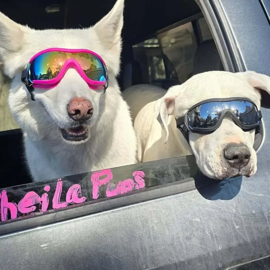 Windproof Anti UV Dog Sunglasses For Outdoor Adventures
