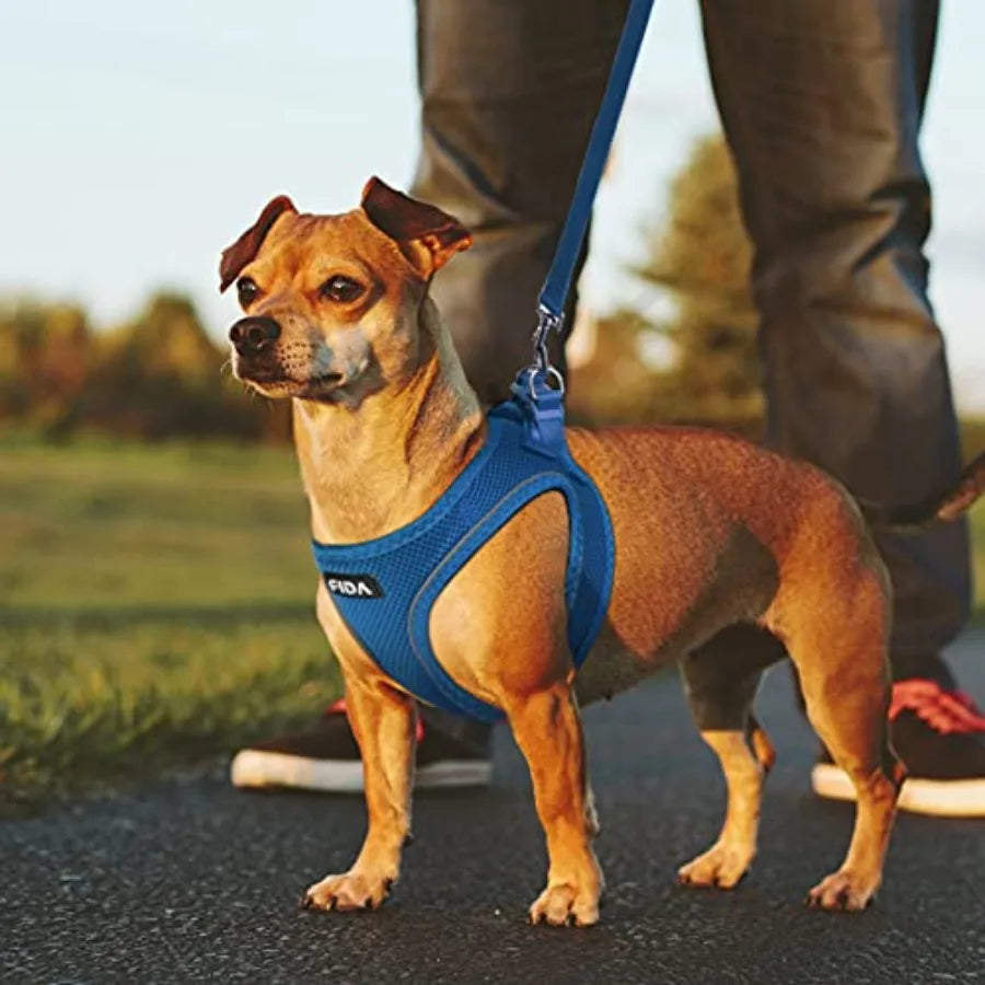 Adjustable Soft Mesh Dog Harness With Reflective Leash