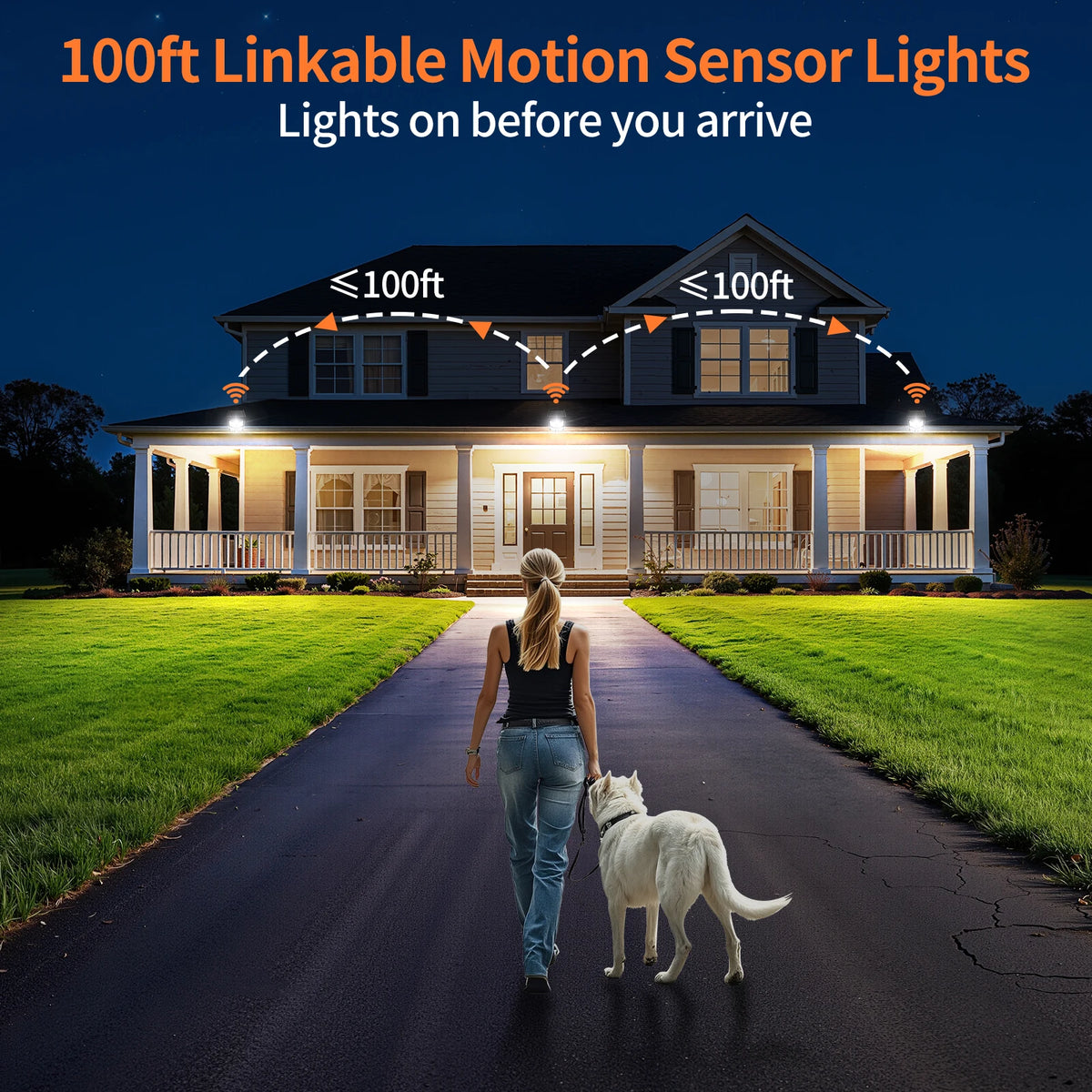 Intelamp Long Battery Outdoor Solar Flood Light Dual Motion Sensor