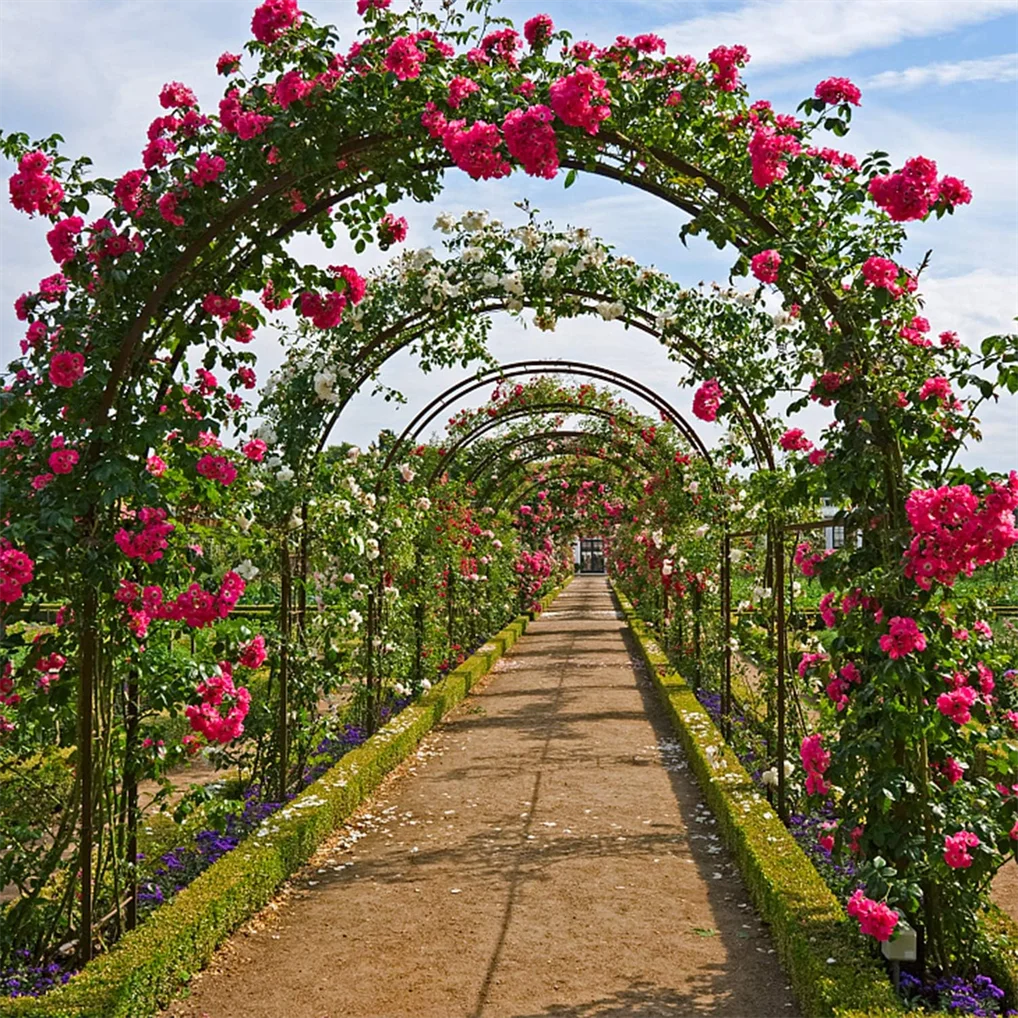Wisfor Metal Garden Arch Trellis For Climbing Plants