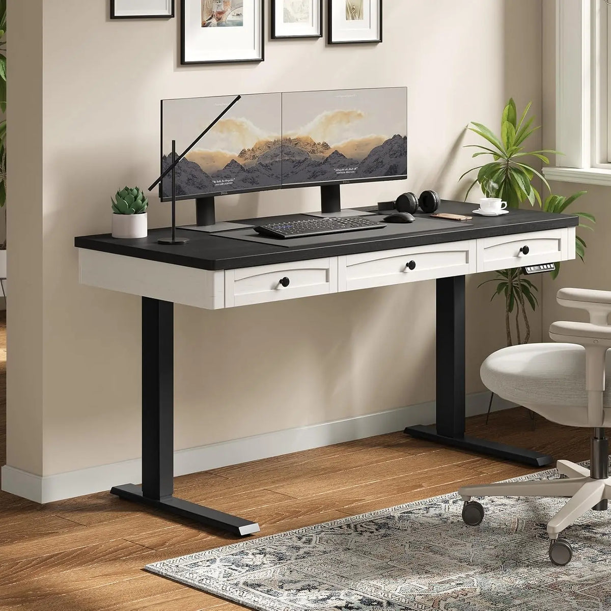 Onbrill Electric Height Adjustable Standing Desk With Drawers