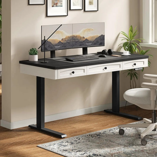 Onbrill Electric Height Adjustable Standing Desk With Drawers