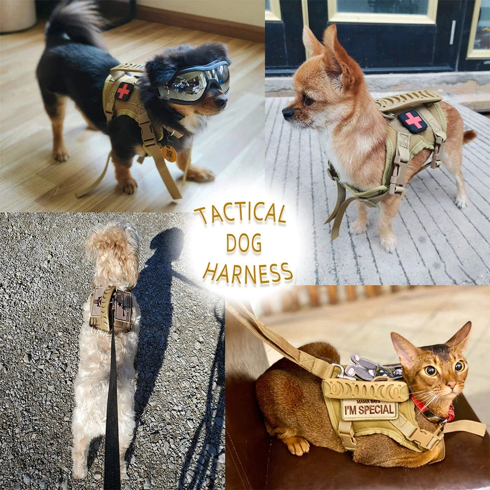 Petravel Tactical Puppy Harness And Leash Set For Dogs